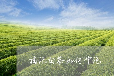 福记白茶如何冲泡/2023073060725