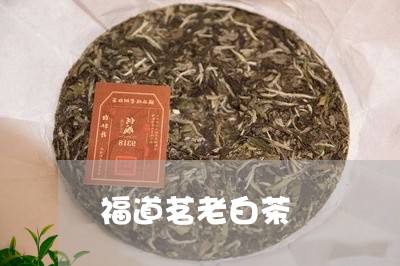 福道茗老白茶/2023052251916