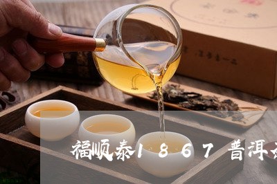 福顺泰1867普洱茶/2023100603928