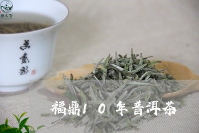 福鼎10年普洱茶/2023102661846