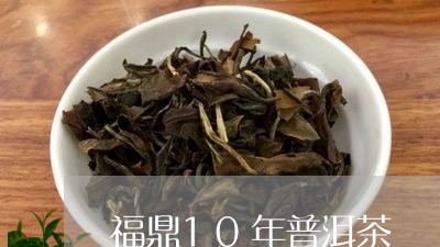 福鼎10年普洱茶/2023120385258