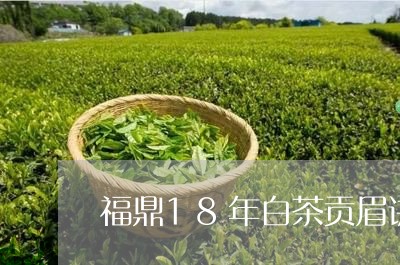 福鼎18年白茶贡眉讲解/2023092524147