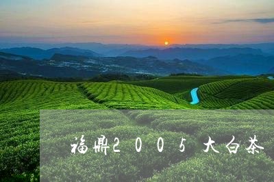 福鼎2005大白茶/2023082599502