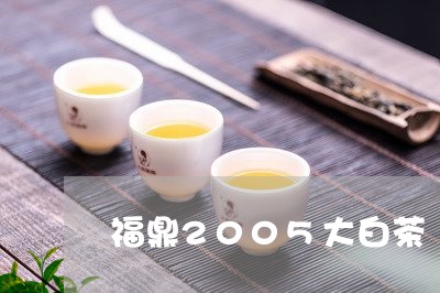 福鼎2005大白茶/2023111690518