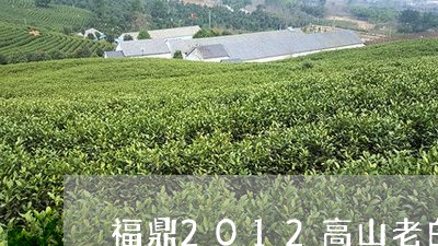 福鼎2012高山老白茶饼价格/2023111459693