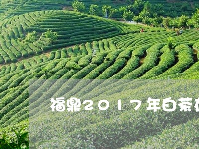 福鼎2017年白茶在那/2023092270404