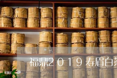 福鼎2019寿眉白茶/2023120759481