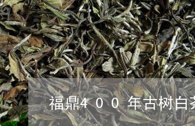 福鼎400年古树白茶/2023120770684