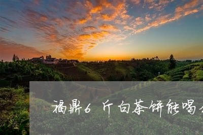 福鼎6斤白茶饼能喝么/2023120726148