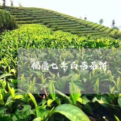 福鼎七年白茶茶饼/2023112573825