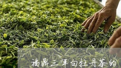 福鼎三年白牡丹茶的/2023120523928