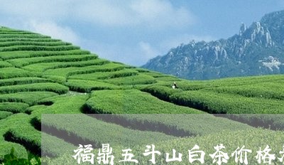 福鼎五斗山白茶价格表/2023080194937