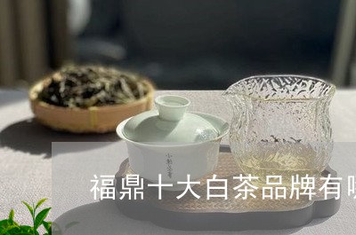 福鼎十大白茶品牌有哪些/2023110270724