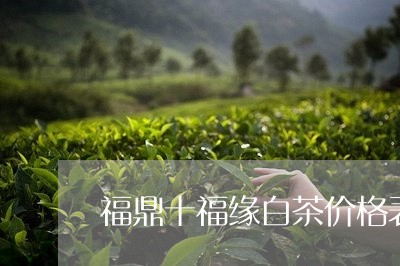 福鼎十福缘白茶价格表/2023091595349