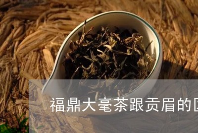 福鼎大毫茶跟贡眉的区别/2023092562858