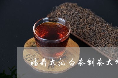 福鼎大沁白茶制茶大师胡/2023092102820