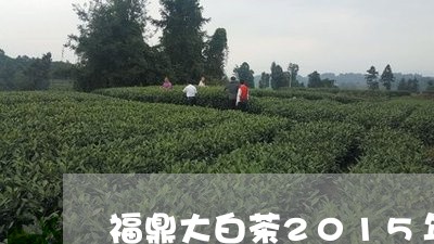 福鼎大白茶2015年/2023120764937