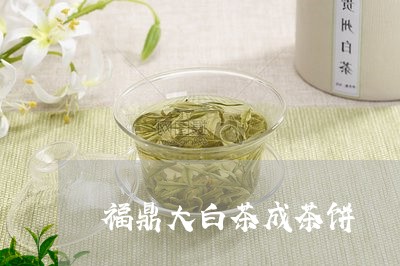 福鼎大白茶成茶饼/2023112632695