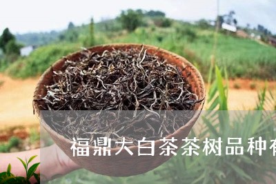 福鼎大白茶茶树品种有哪些/2023062714927