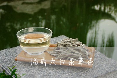 福鼎大白茶草茶/2023112520484