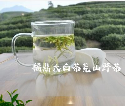 福鼎大白茶荒山野茶/2023120714259