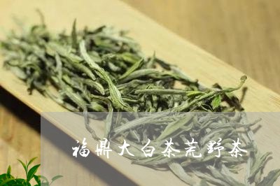 福鼎大白茶荒野茶/2023111651614