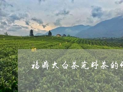 福鼎大白茶荒野茶的价格/2023092282038