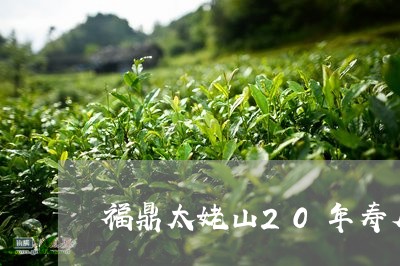 福鼎太姥山20年寿眉白茶/2023062708493