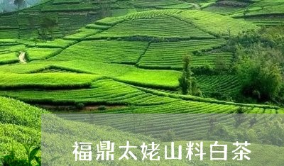 福鼎太姥山料白茶/2023112619281