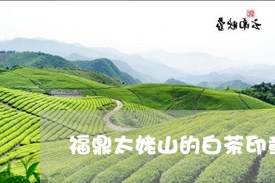 福鼎太姥山的白茶印章图片/2023041728160