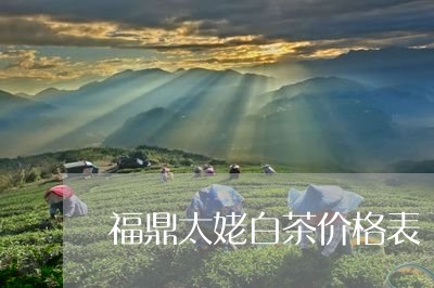 福鼎太姥白茶价格表/2023120384182