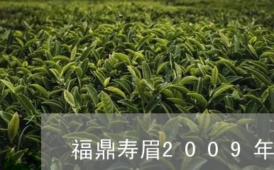 福鼎寿眉2009年/2023120534062