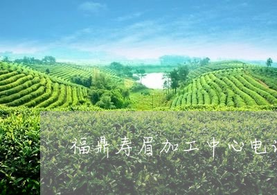 福鼎寿眉加工中心电话号码/2023110967382