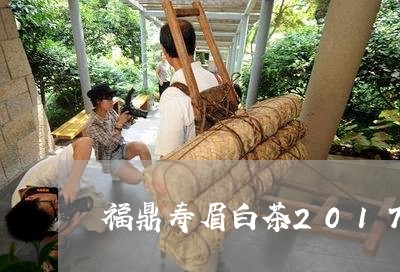 福鼎寿眉白茶2017/2023120710502