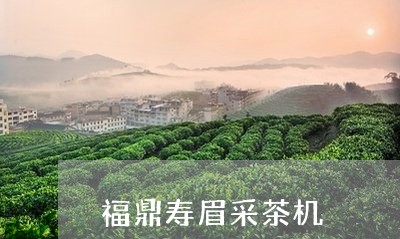 福鼎寿眉采茶机/2023060827261