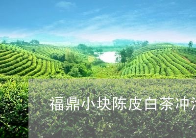 福鼎小块陈皮白茶冲泡方法/2023041780837