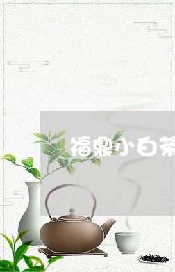 福鼎小白茶加工厂家/2023120384827