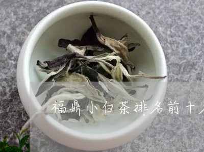 福鼎小白茶排名前十名/2023092073647