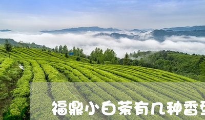 福鼎小白茶有几种香型和味型/2023111483827