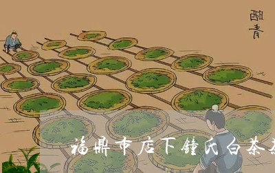 福鼎市店下钟氏白茶茶厂/2023111612696