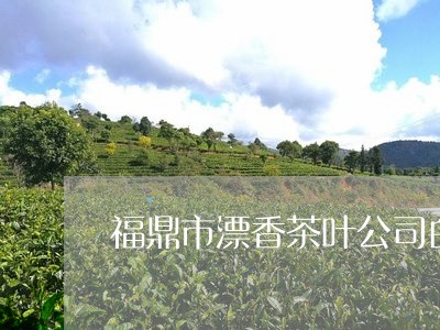 福鼎市漂香茶叶公司白茶/2023110180682