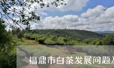 福鼎市白茶发展问题及建议/2023110964929