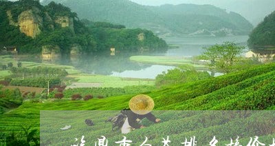 福鼎市白茶排名榜价格/2023120770371