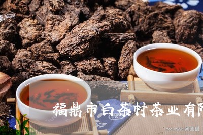 福鼎市白茶村茶业有限公司/2023041753806