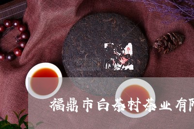 福鼎市白茶村茶业有限公司/2023042605147