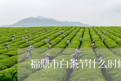 福鼎市白茶节什么时候开始/2023041792804