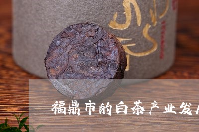 福鼎市的白茶产业发展情况/2023041731017