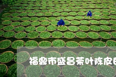 福鼎市盛昌茶叶陈皮白茶/2023092204059