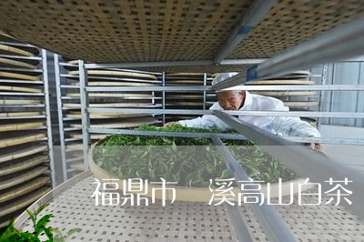 福鼎市磻溪高山白茶/2023120328380