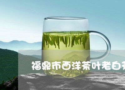 福鼎市西洋茶叶老白茶/2023091514938